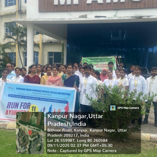 WhatsApp Image 2025-10-27 at 17.03.11